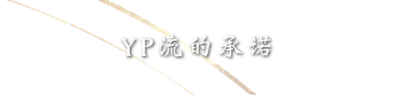 YP流的承诺