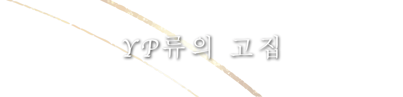 YP류의 고집